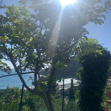 Cozy Beach House With Nice Garden, Basic Feel Διαμέρισμα Bonassola Εξωτερικό φωτογραφία