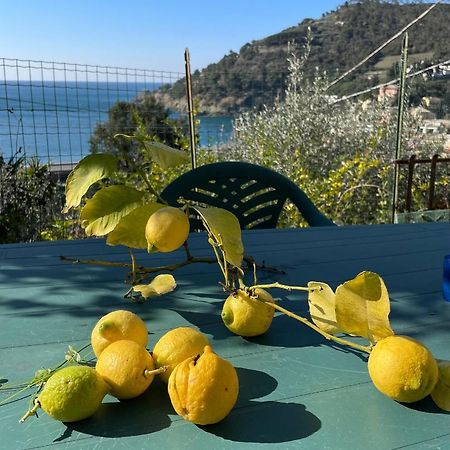 Cozy Beach House With Nice Garden, Basic Feel Διαμέρισμα Bonassola Εξωτερικό φωτογραφία