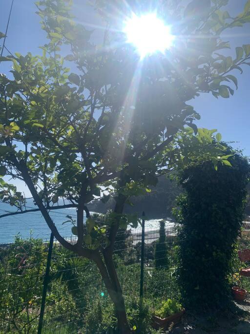Cozy Beach House With Nice Garden, Basic Feel Διαμέρισμα Bonassola Εξωτερικό φωτογραφία