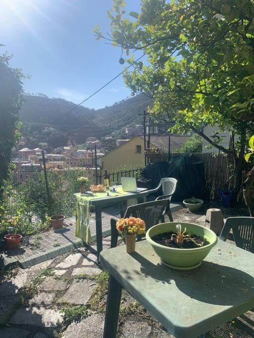 Cozy Beach House With Nice Garden, Basic Feel Διαμέρισμα Bonassola Εξωτερικό φωτογραφία