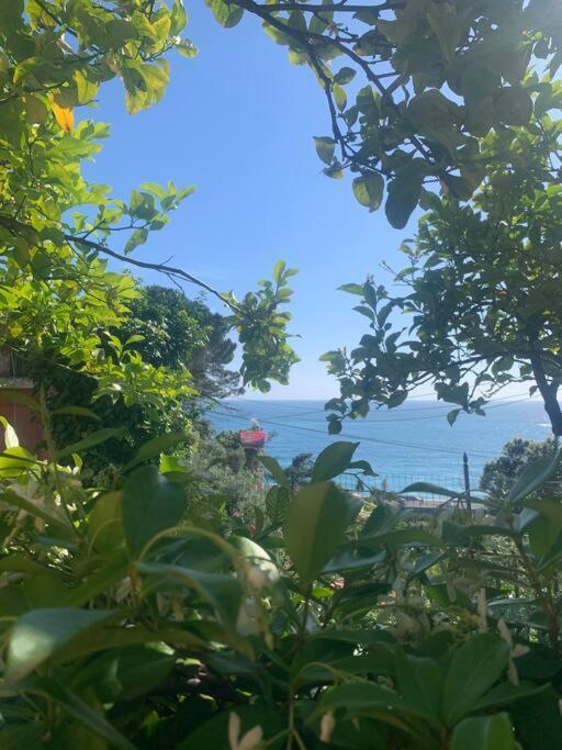 Cozy Beach House With Nice Garden, Basic Feel Διαμέρισμα Bonassola Εξωτερικό φωτογραφία