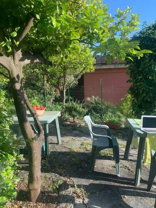 Cozy Beach House With Nice Garden, Basic Feel Διαμέρισμα Bonassola Εξωτερικό φωτογραφία