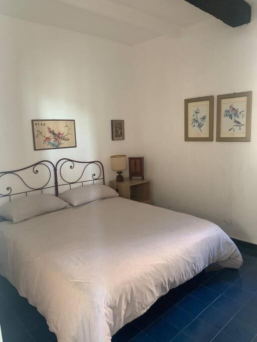Cozy Beach House With Nice Garden, Basic Feel Διαμέρισμα Bonassola Εξωτερικό φωτογραφία